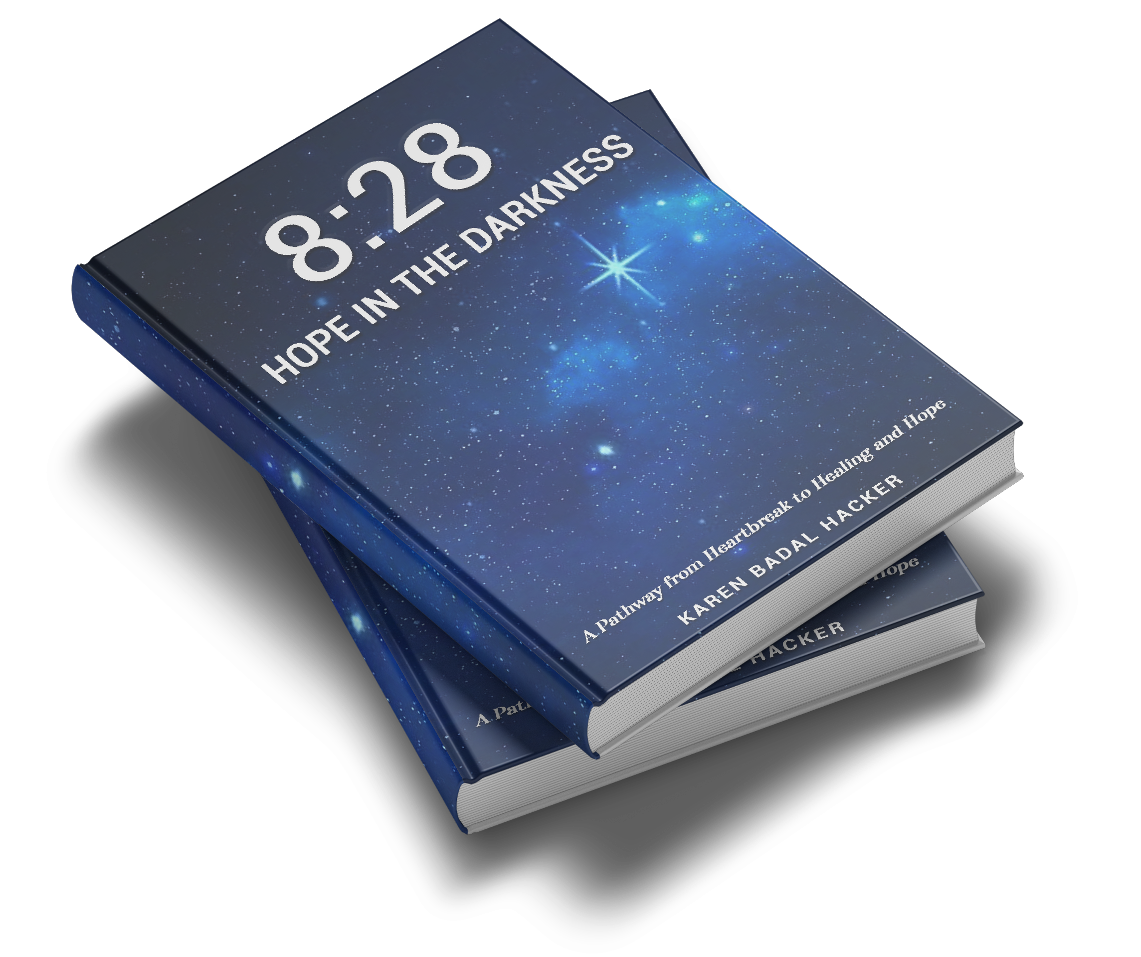 828 Hope in the Darkness Book